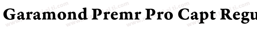 Garamond Premr Pro Capt Regular字体转换
